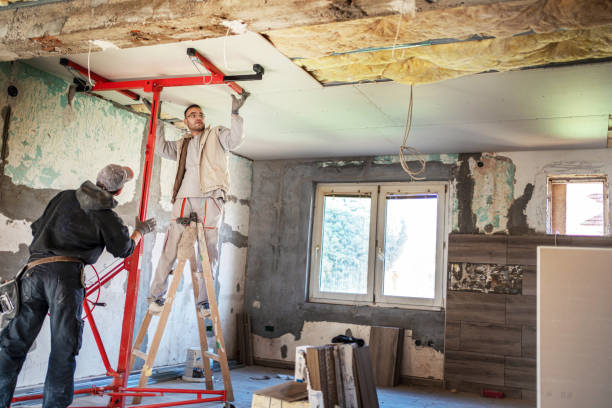 Best Spray Foam Insulation  in Orleans, IN